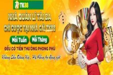 Cổng Game Tk88 – cổng game Cá Cược Hàng Đầu Việt Nam