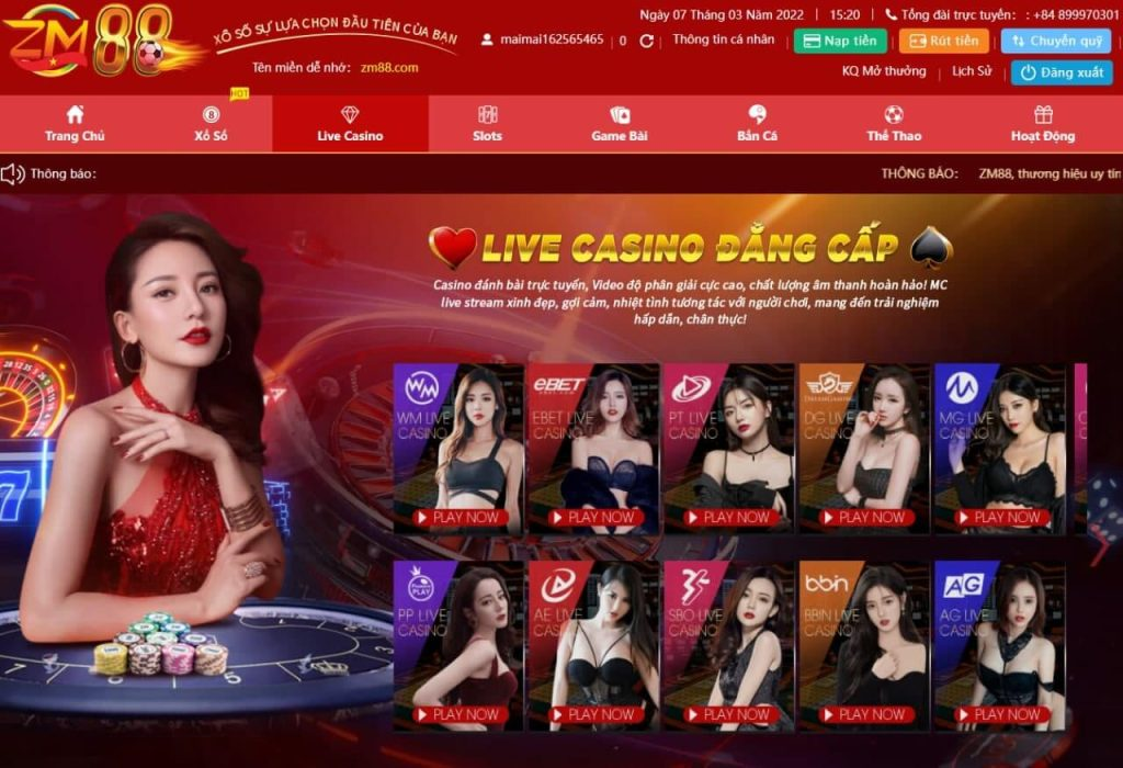 Live Casino tại nhà cái ZM88