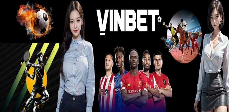 Thông tin sơ bộ về nhà cái Vinbet