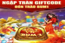 Bayvip Giftcode – Bật mí các kinh nghiệm săn mã VIP cực nhanh chóng